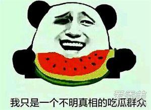 有意思旅游 