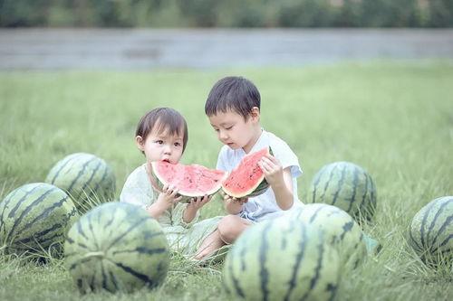怎么可以吃兔兔 