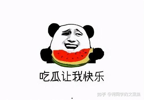 迷你吃鸡射击 