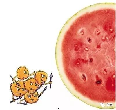 黑料吃瓜网apk普通安装 