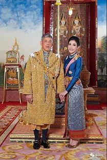 贵妃直播 