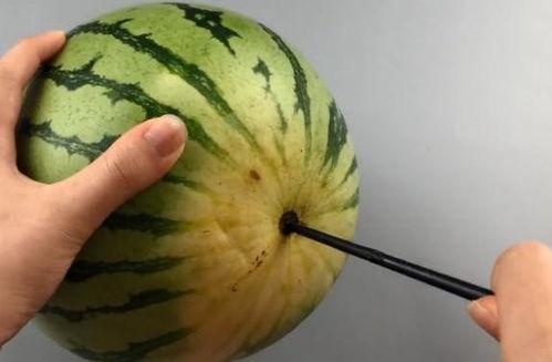 什么什么里奥冒险 